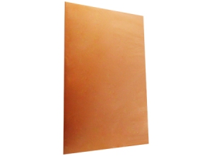  CARPETA PLASTIFICADA NARANJA CTE 