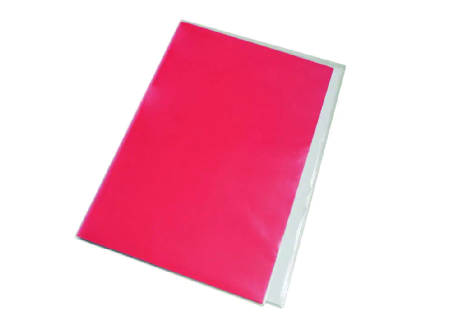  CARPETA PLASTIFICADA ROJA CTE 
