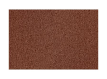  CARTULINA ESPA�OLA 50X70 20HJ CAFE-MARRONE 200GR 