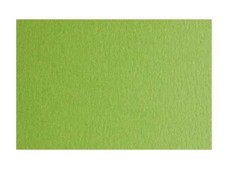  CARTULINA ESPA�OLA 50X70 20HJ VE.CLARO-PISELLO200G 