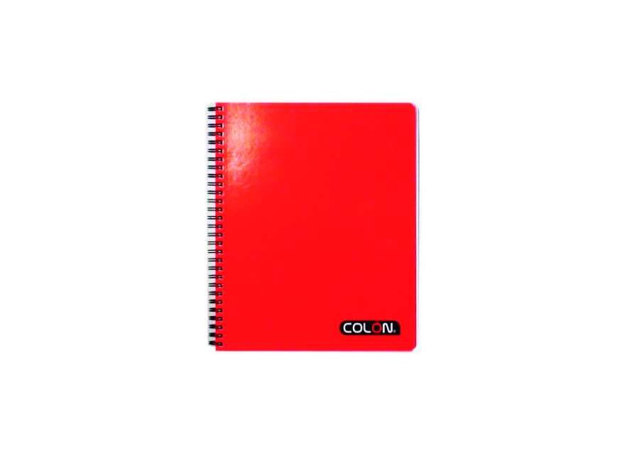  CUADERNO UNIV. E/D 100 HJ M7 COLON LISO BASIC 