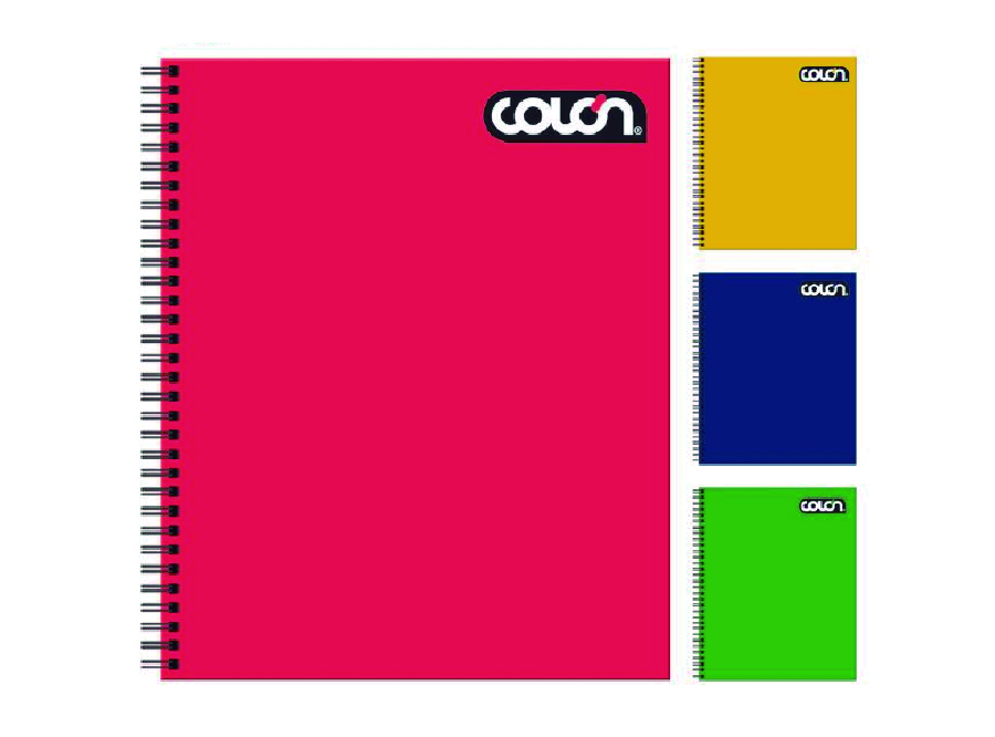  CUADERNO UNIV. E/S 100 HJ M7 COLON LITO BASIC 