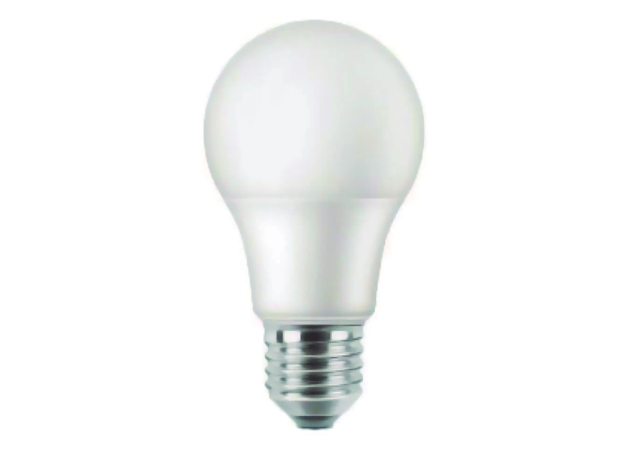 AMPOLLETA LED 15W LUZ FRIA PILA 