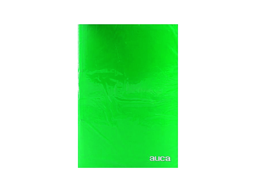  ARCHIVADOR PLAST. C/GUSANO PLAST. VERDE AUCA 