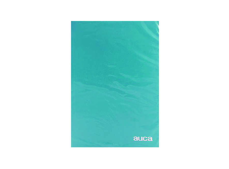  CARPETA PLASTIFICADA CELESTE AUCA 