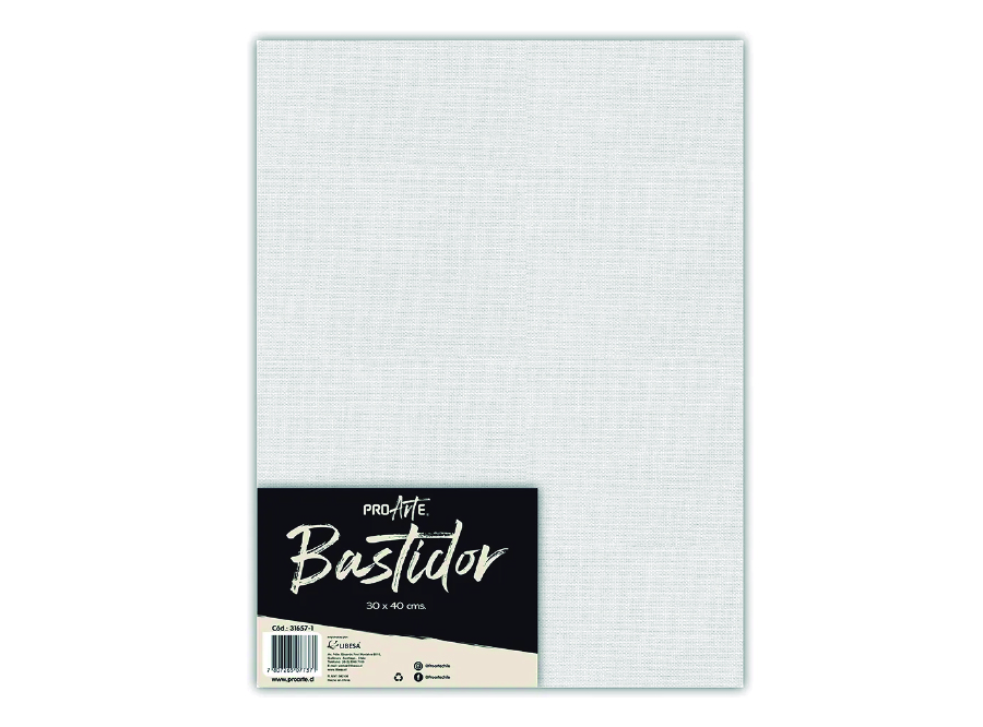  BASTIDOR 30 X 40 CM X 1 UN PROARTE 