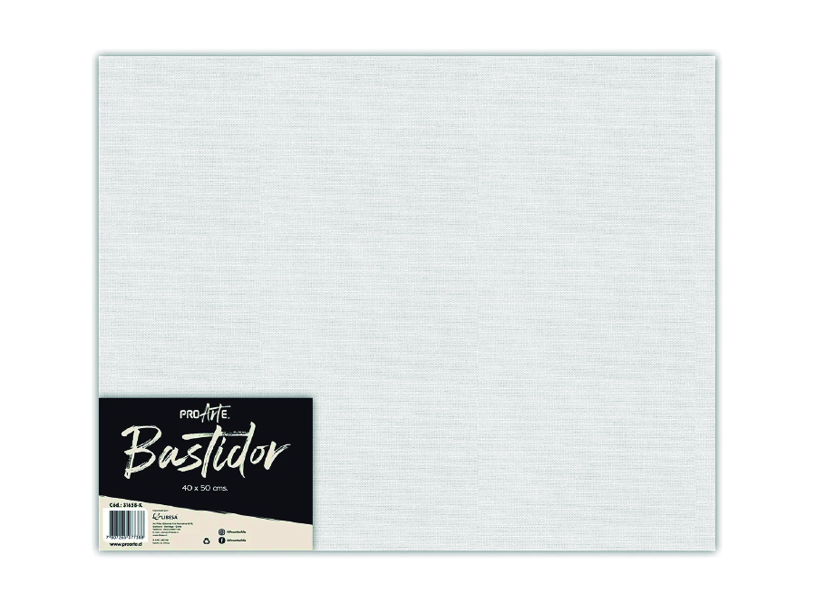  BASTIDOR 40 X 50 CM X 1 UN PROARTE 