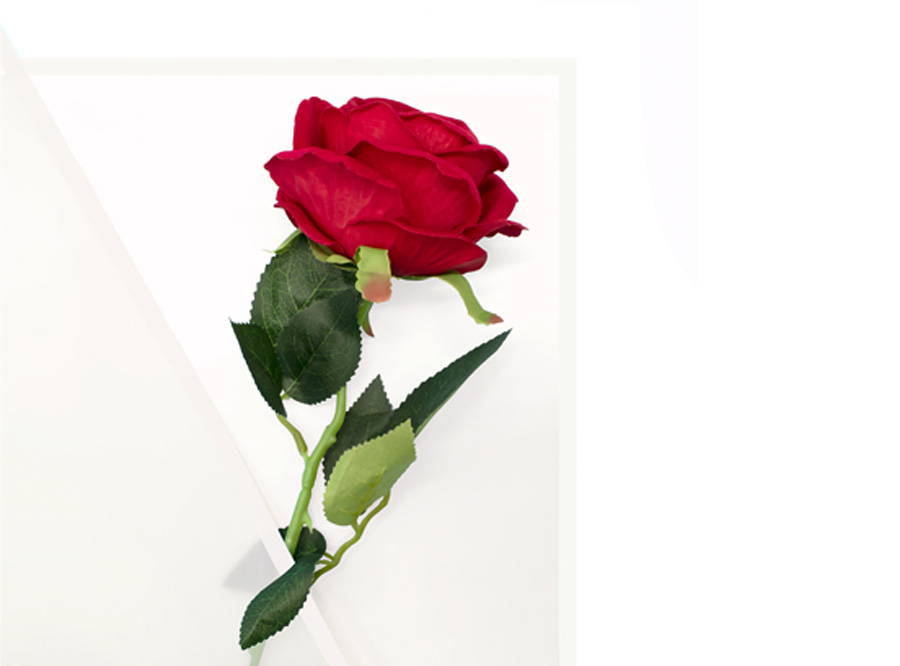  PAPEL COREANO 57 X 57 CM R/20 MEDIO TRANSP. BLANCO 