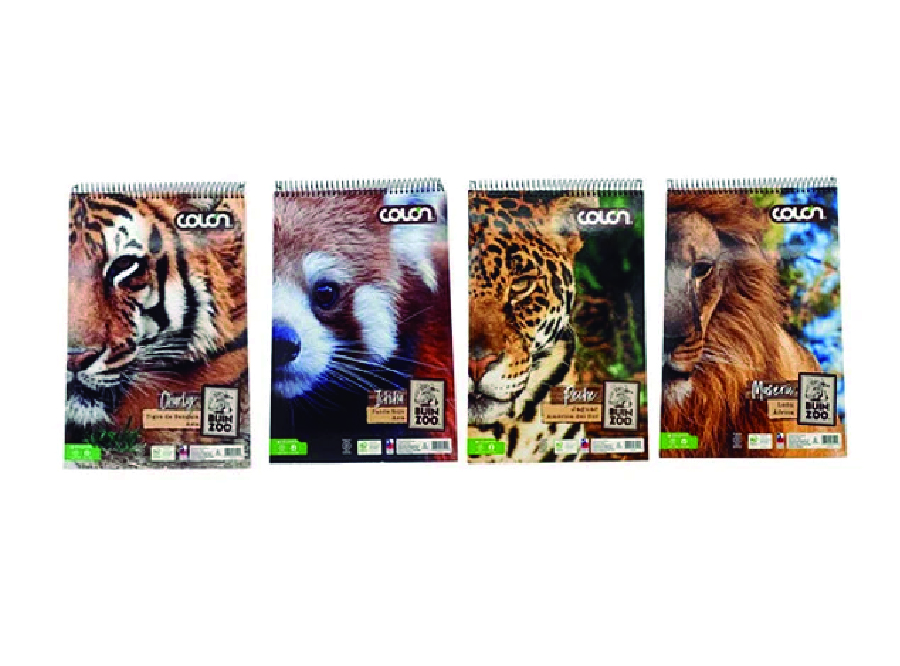  CROQUERA 21 X 32 BUIN ZOO 80 HJ COLON 