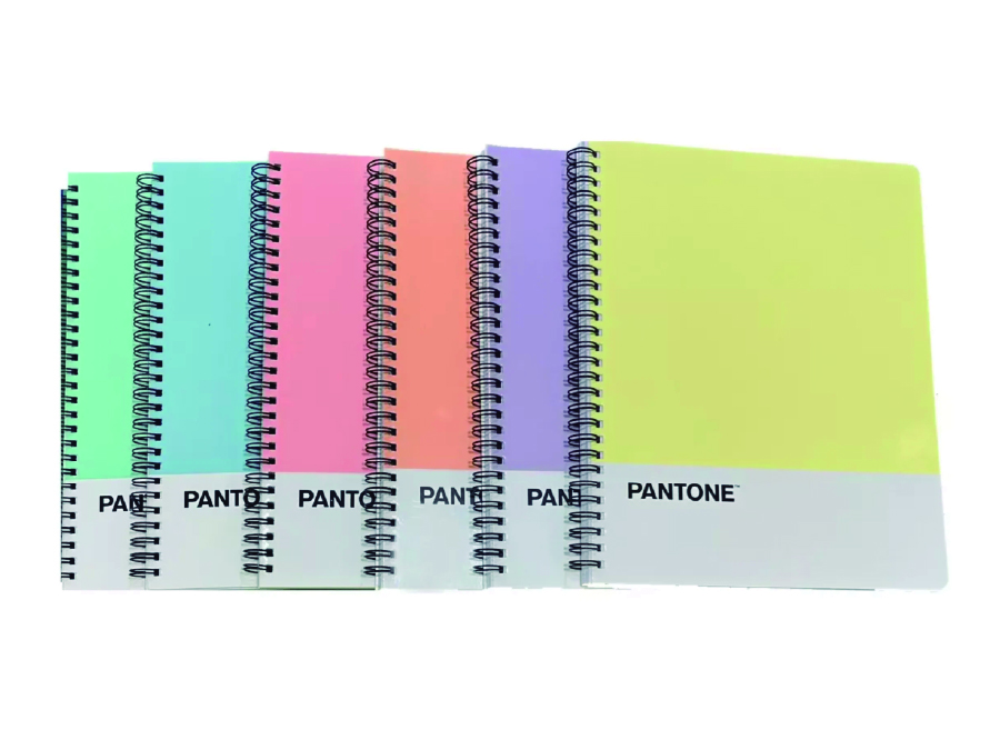  CUADERNO UNIV. E/D 100 HJ M7 PANTONE COL.PASTEL 