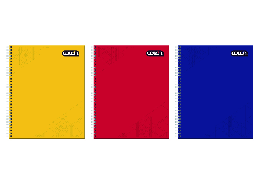  CUADERNO UNIV. E/D 100 HJ M7 COLON LISO TE 