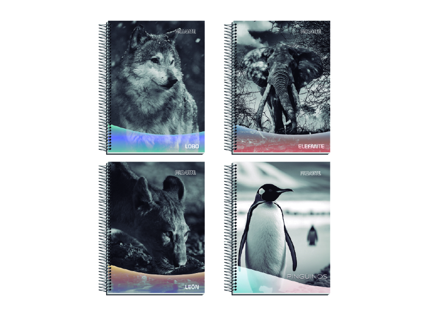 CUADERNO CARTA 120 HJ M7 PROARTE NATURE 