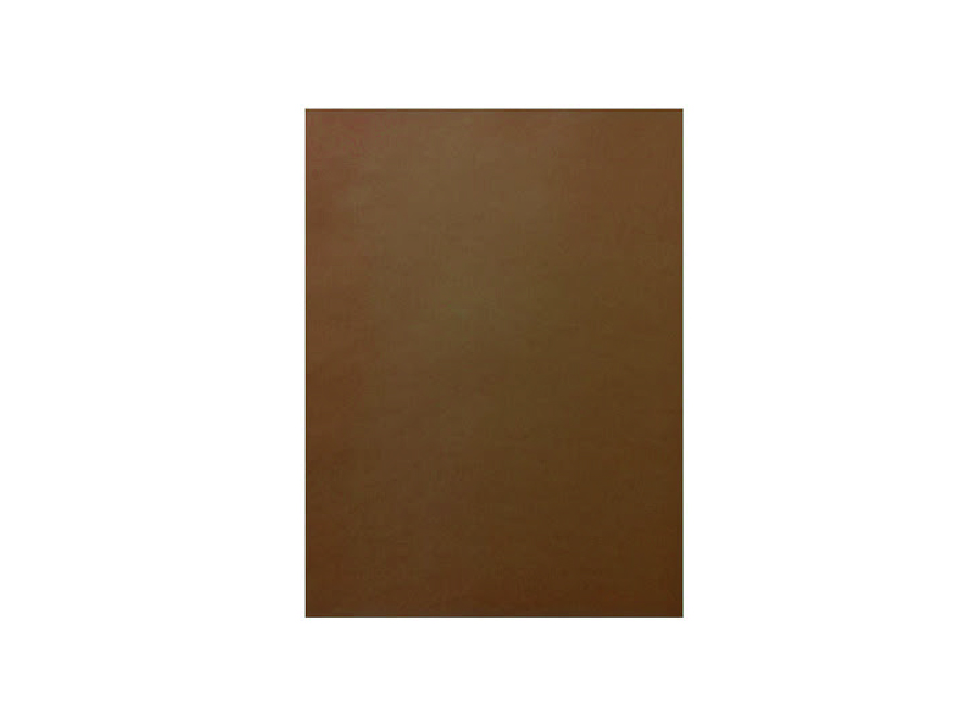  CARTULINA ESPA�OLA 50X70 25HJ CAFE 180GR HAND 