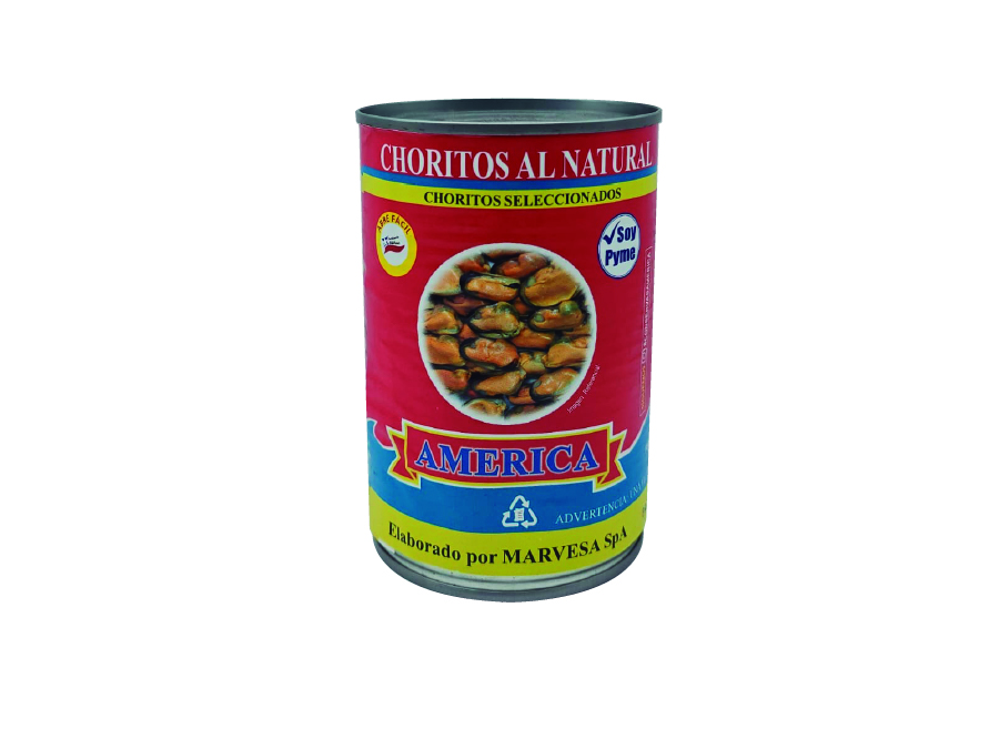  CHORITO NATURAL 425 GR AMERICA 