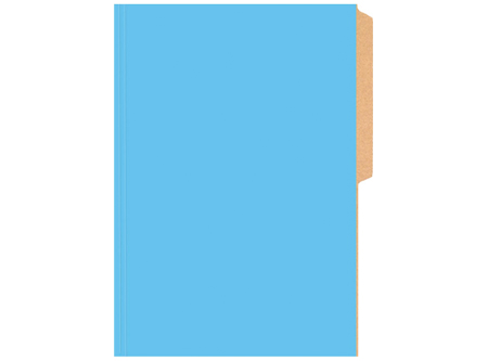  CARPETA CARTULINA PIG.BRILLANTE CELESTE BUHO 