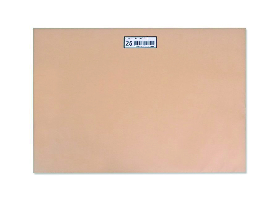  CARTULINA 55 X  77 100 HJ PIEL HALLEY 