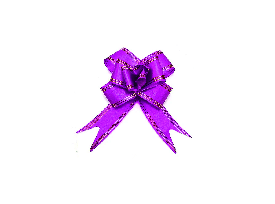  CINTA REGALO 23MM X 47CM X 10 UN ROSADA FIL.DORDO 