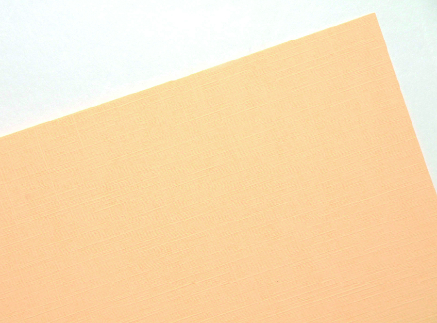  CARTULINA OPALINA CARTA 125 HJ 200GR GOFRADA PEANU 