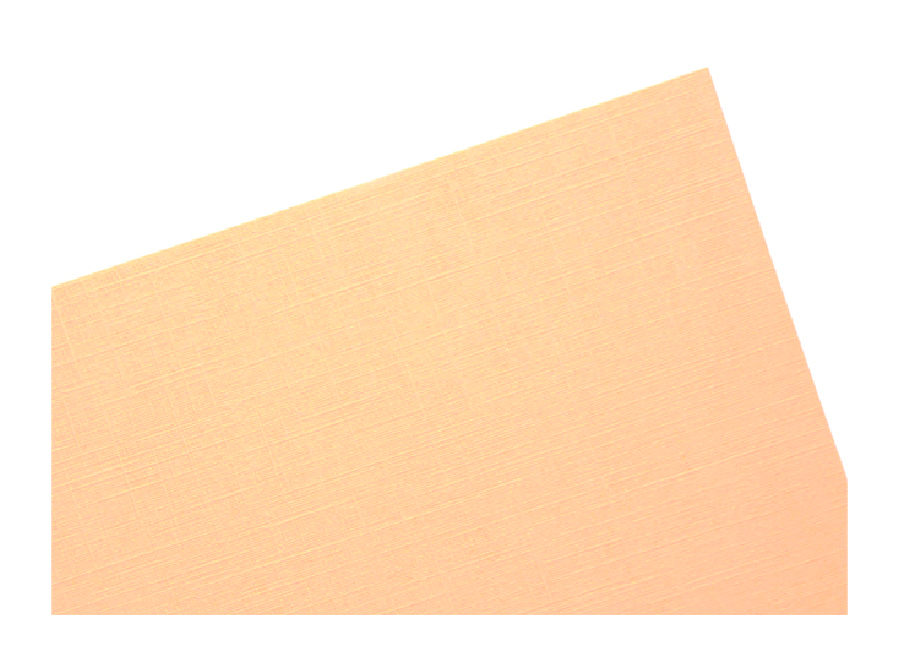  CARTULINA OPALINA OFICIO 125 HJ 200GR PEANUT GOFRA 